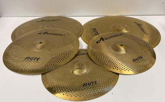 Arborea Mute Cymbals Set image number 3