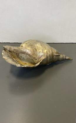 Large Cast Brass Shell Sculpture