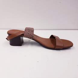 Italian Shoemakers Infamous Ankle Strap Sandals Shoes Size 10 alternative image