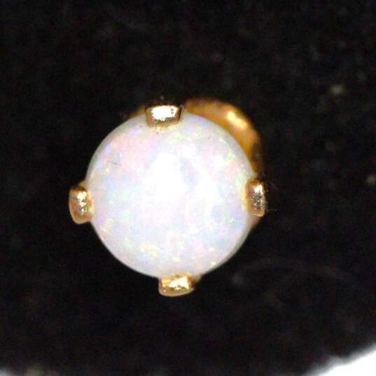 14K Yellow Gold Opal Earrings image number 2