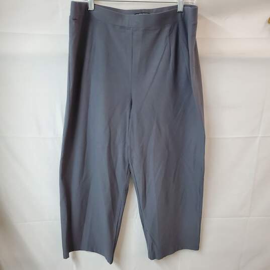 Eileen Fisher Woman Gray Pants in Size 1x image number 1