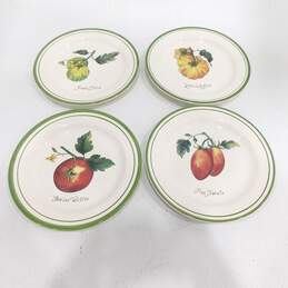 Williams Sonoma Heirloom Tomatoes 8.5" Plates Set of 4