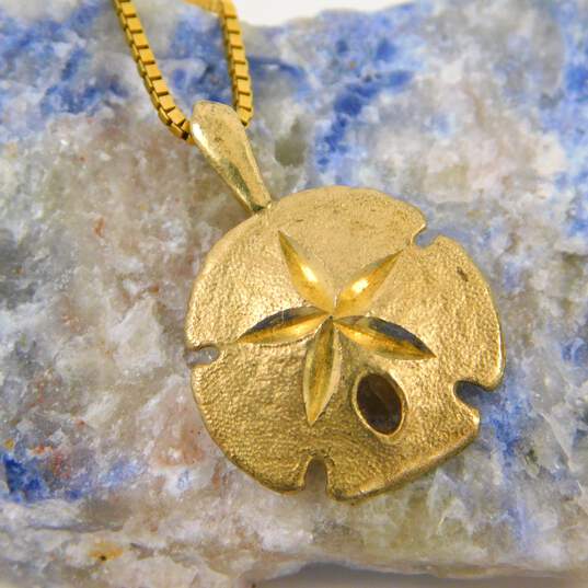 14K Gold Sand Dollar Shell Etched Textured Pendant Box Chain Necklace 3.9g image number 1