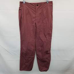 The North Face Womens Pink Routeset Pant Size 10