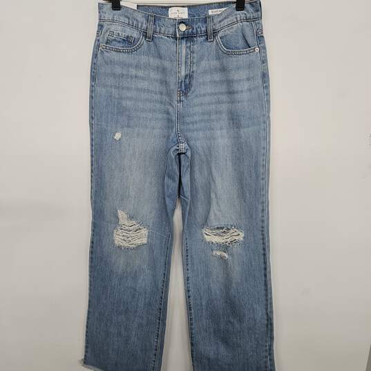 True Craft Relaxed Wide Leg Blue Jeans image number 1