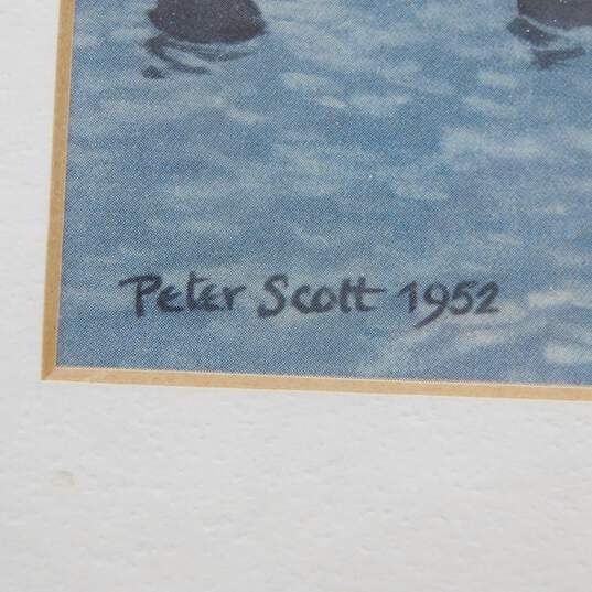 Artist Peter Scott Ducks Flying & On Water Vintage Art Prints Set of 4 image number 7
