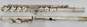 W. T. Armstrong Model 104Flutes w/ Cases (Set of 2) image number 5