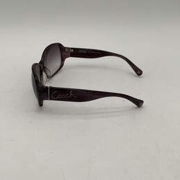 Womens Taryn S801 Plum Horn Full-Rim Frame Casual Wrap Sunglasses