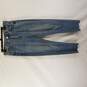 American Eagle Jeans Women M Blue image number 1