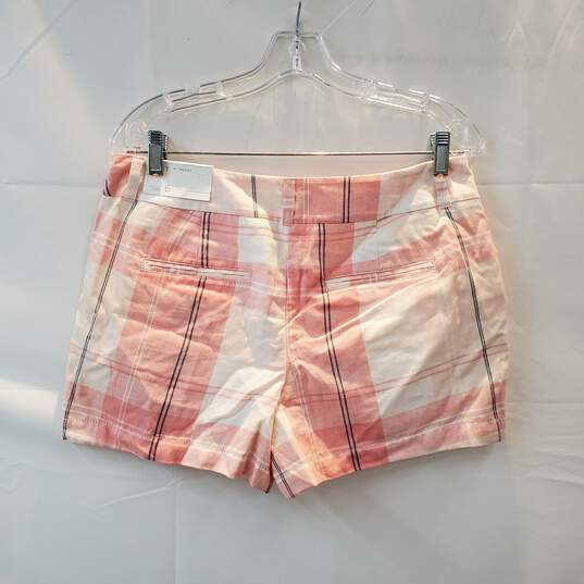 Loft Outlet 4 Shorts NWT Women's Size 6 image number 2
