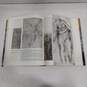 The Complete Work of Michelangelo Hard Cover Book image number 7