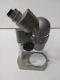 Gray Microscope image number 4