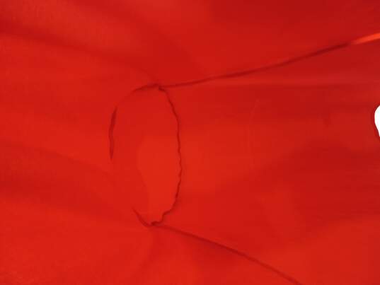 LuLaRoe Women's Red Dress Size 3XL image number 4