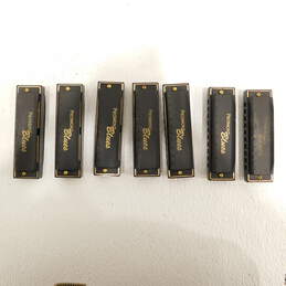 Hohner Brand Piedmont Blues Model Harmonicas w/ Black Case (Set of 7) alternative image