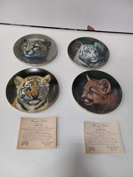 Set of 4 Princeton Galleries Cubs of the Big Cat Collector Plates