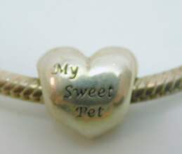 Pandora 925 Charm Bracelet With Best Friends & Sweet Pet Charms alternative image