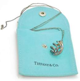 Tiffany & Co Paloma Picasso 925 Venezia Luce Open Spiral Teardrop Pendant necklace 4.3g