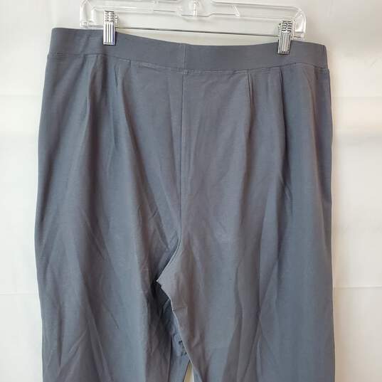 Eileen Fisher Woman Gray Pants in Size 1x image number 5
