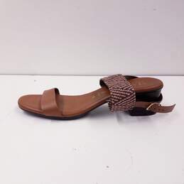 Italian Shoemakers Infamous Ankle Strap Sandals Shoes Size 10