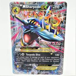 Pokemon TCG Mega Sharpedo EX Oversized Jumbo Promo Card XY200