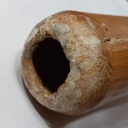 Brown Didgeridoo Horn alternative image