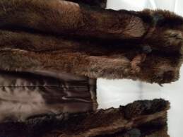 Morton's Brown Nutria Fur Shawl WM O/S alternative image