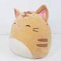 Squishmallows Nathan Tabby Cat Plush image number 5