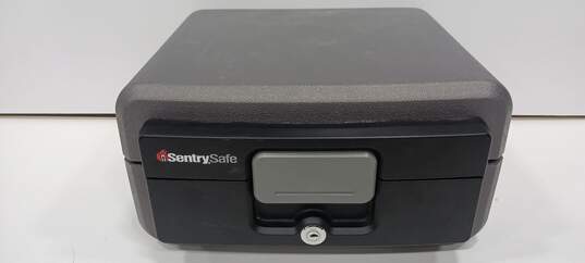 Sentry Safe Model No. BL-540666 image number 1