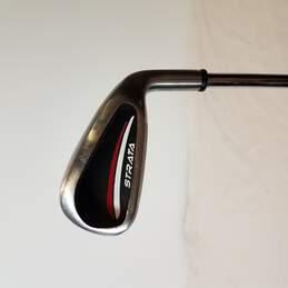 Strata Plus 6 Iron Steel Shaft Golf Club RH
