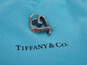 Tiffany & Co Paloma Picasso 925 Red Enamel Love Open Heart Pendant & Dust Bag 8.0g image number 2