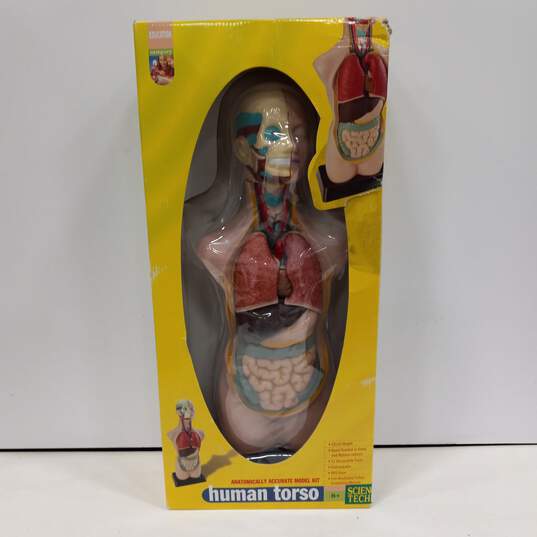 Science Tech Anatomically Accurate Model Kit image number 1
