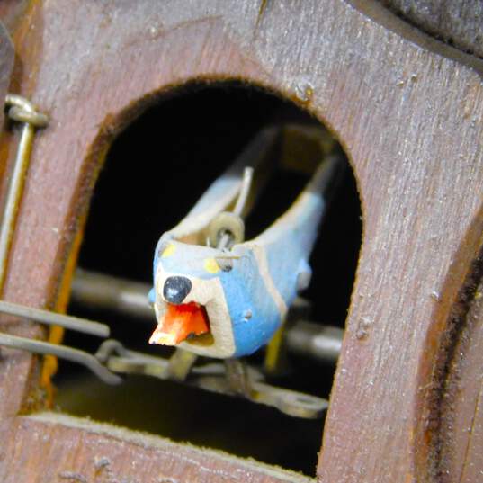 Vintage German Wood Forest Cuckoo Clock For Parts & Repair image number 4