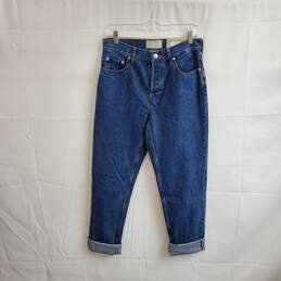 Everlane Blue Organic Cotton 90's Cheeky high Rise Jean WM Size 27 Tall NWT
