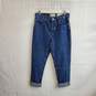 Everlane Blue Organic Cotton 90's Cheeky high Rise Jean WM Size 27 Tall NWT image number 1