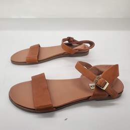Steve Madden Women's 'Dina' Tan Leather Sandals Size 8.5M alternative image