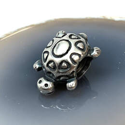 Designer Pandora S925 ALE Sterling Silver Sea Turtle Shape Beaded Charm alternative image