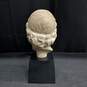 Vintage Alva Museum Replica Head of Asklepios Sculpture image number 3