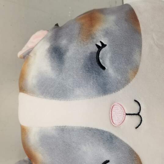 Squishmallows 14 Pax the Hamster image number 2