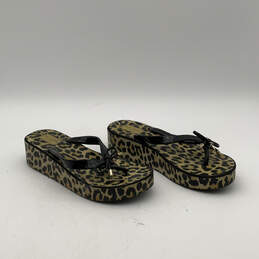 Womens Rhett Brown Black Cheetah Print Platform Flip Flop Sandals Size 7 alternative image