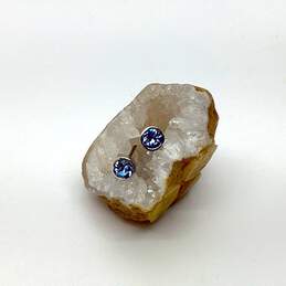 Designer Swarovski Silver-Tone Blue Glossy Stone Stud Earrings alternative image