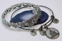 Collectible Disney Alex & Ani Silver Tone Castle & Etched Heart Beaded Bangle Bracelets