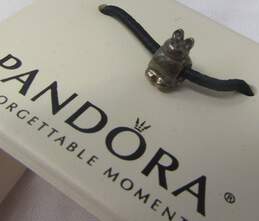 Pandora Charms.