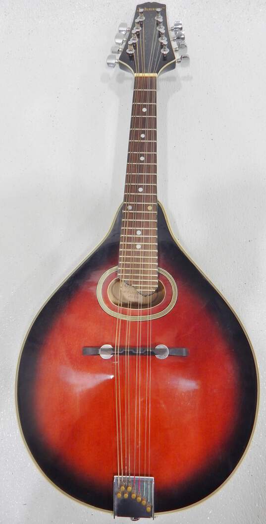 Johnson Brand MA-110 Model A-Style Mandolin w/ Soft Gig Bag image number 1