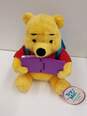Lot of Assorted Winnie the Pooh Plush image number 2