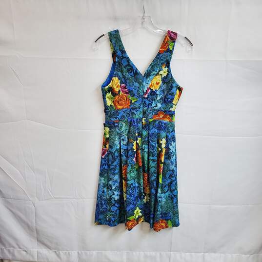 Adrianna Papell Multicolor Floral Patterned Sleeveless Dress WM Size 0 NWT image number 1