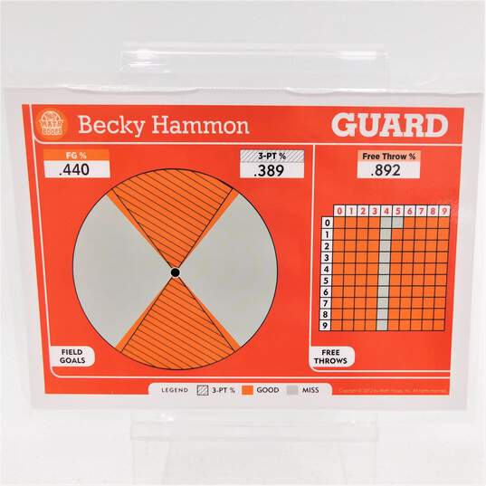 2012 HOF Becky Hammon Panini Math Hoops 5x7 Basketball Card San Antonio Silver Stars image number 3