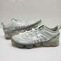 MEN'S NIKE AIR VAPORMAX 2019 'BARELY GREY' AR6631-005 SIZE 11 image number 1