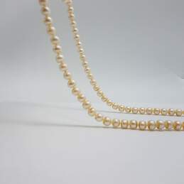IPS 14k Gold Knotted 6.5mm Fw Pearl 64 Inch Necklace 97.0g alternative image