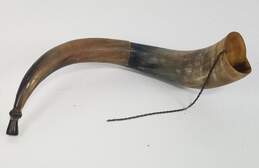 Vintage Steer Horn  with Chain /  Cow Ceremonial Horn