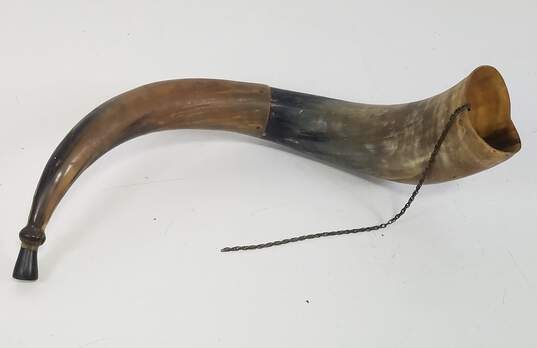Vintage Steer Horn  with Chain /  Cow Ceremonial Horn image number 1